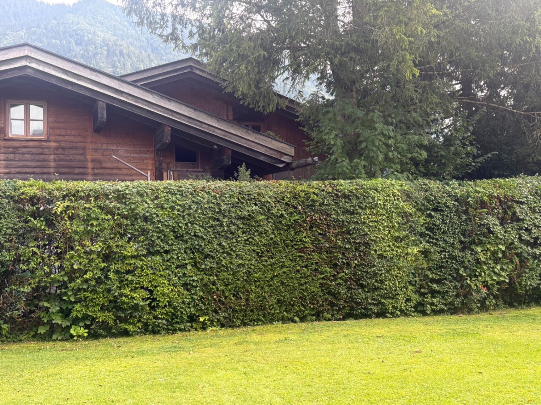 Holzhaus mit perfekt geschnittener Hecke und grünem Rasen